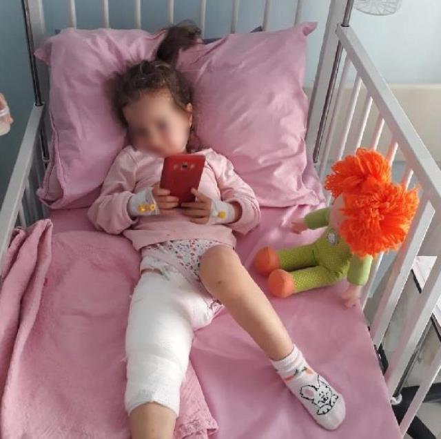 Ankara'da pitbull dehşeti! Anneannesinin kucağındaki küçük kızı zıplayıp yakaladı