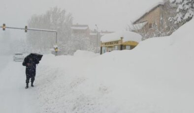 Bitlis’te kar yağışı kenti esir aldı! 290 köy yolu kapandı, evler, duraklar ve tabelalar kayboldu