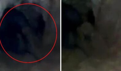 Vatandaşlar görüntüleri şaşkınlıkla izledi! Mağaradaki ‘Esrarengiz varlık’ kamerada