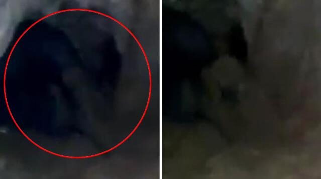 Vatandaşlar görüntüleri şaşkınlıkla izledi! Mağaradaki ‘Esrarengiz varlık’ kamerada
