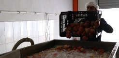 İtalya'da gördüğü meyve ve sebze kurutma tesisini Niğde'de kurarak yurt dışına açıldı
