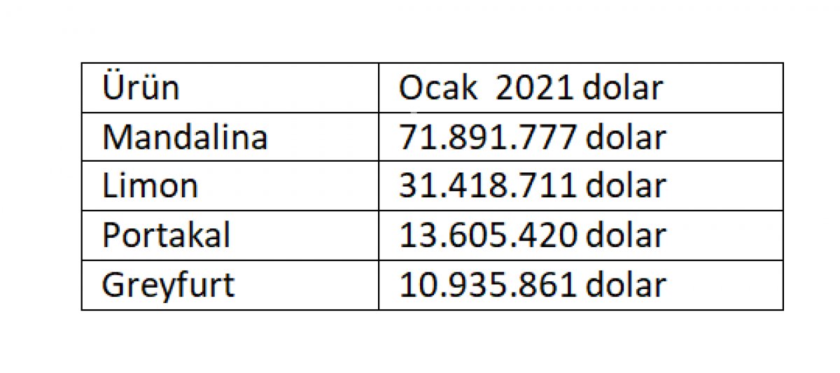 Türkiye nin turunçgil ihracatı ocakta 128 milyon dolar oldu #1