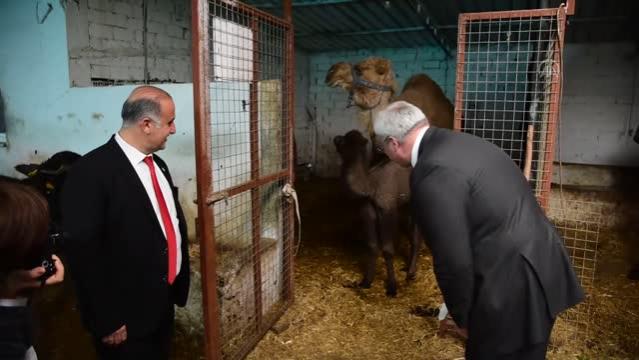 Ukrayna Büyükelçisi Andrii Sybiha, deve çiftliğini ziyaret etti