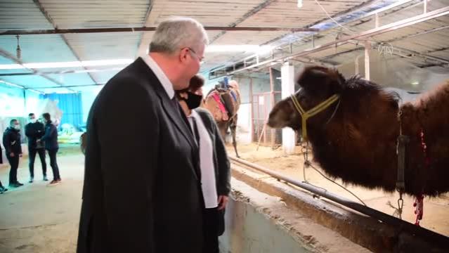 Ukrayna Büyükelçisi Andrii Sybiha, deve çiftliğini ziyaret etti