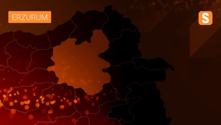 AK Parti Erzurum Milletvekili Selami Altınok’tan “koruma kararı” açıklaması Açıklaması