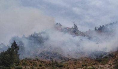 Osmaniye’deki orman yangınında 5 hektarlık alan zarar gördü