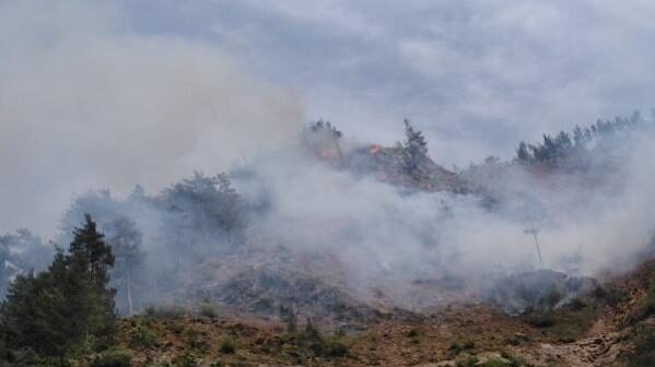 Osmaniye’deki orman yangınında 5 hektarlık alan zarar gördü