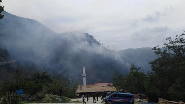 Osmaniye'deki orman yangınında 5 hektarlık alan zarar gördü