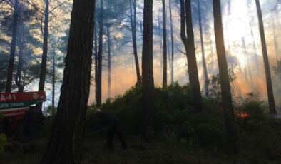 Son dakika gündem: Burdur’da kızılçam ormanında çıkan yangın kontrol altına alındı