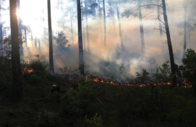 Son dakika gündem: Burdur'da kızılçam ormanında çıkan yangın kontrol altına alındı
