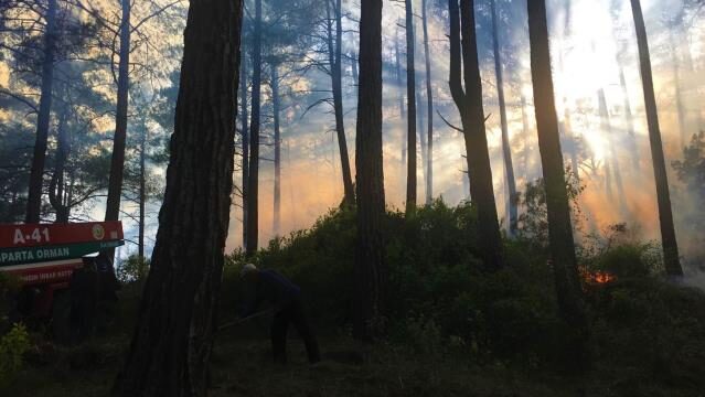 Son dakika gündem: Burdur’da kızılçam ormanında çıkan yangın kontrol altına alındı