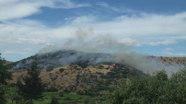 Son dakika haber | Manisa'da otluk alanda çıkan yangın ormana sıçradı