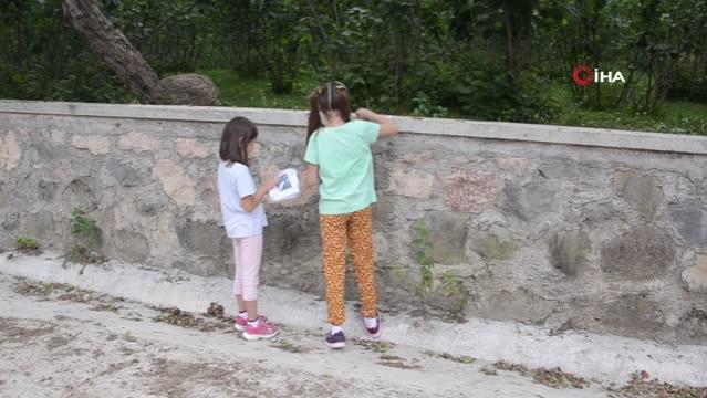 Ordu'da iki kız kardeş hazırladıkları afişlerle kaybolan ördeklerini arıyor