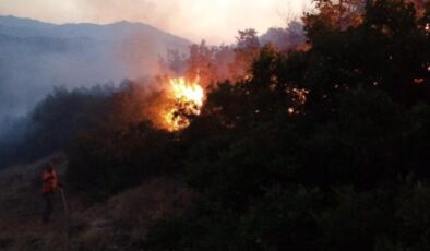 Bingöl’de çıkan orman yangını kısa sürede söndürüldü