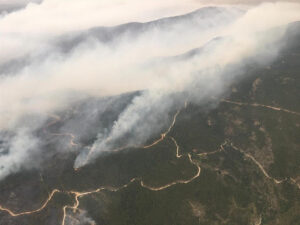 Bodrum, Marmaris, Köyceğiz, Milas yangınlarında son durum haberler kötü