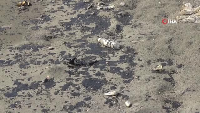 Samandağ’da petrol atıklarının temizliği 7. gününde