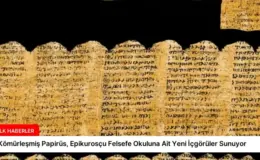 Kömürleşmiş Papirüs, Epikurosçu Felsefe Okuluna Ait Yeni İçgörüler Sunuyor
