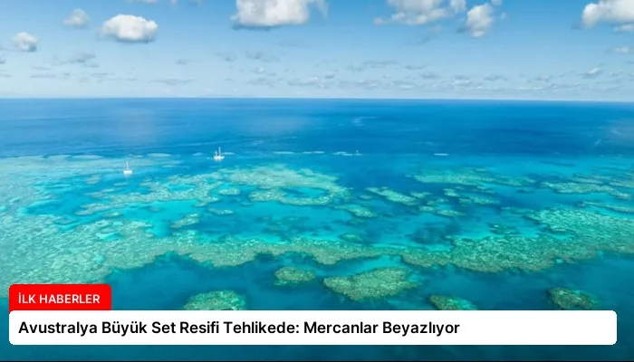 Avustralya Büyük Set Resifi Tehlikede: Mercanlar Beyazlıyor