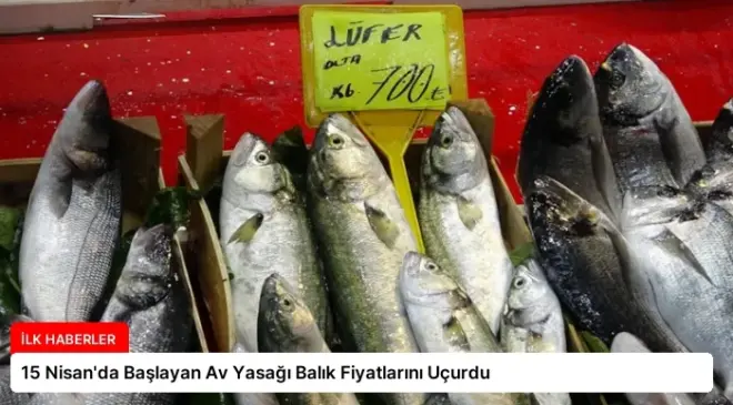 15 Nisan’da Başlayan Av Yasağı Balık Fiyatlarını Uçurdu