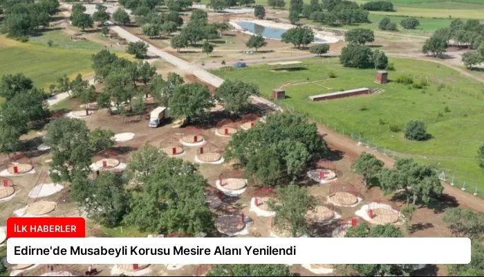 Edirne’de Musabeyli Korusu Mesire Alanı Yenilendi
