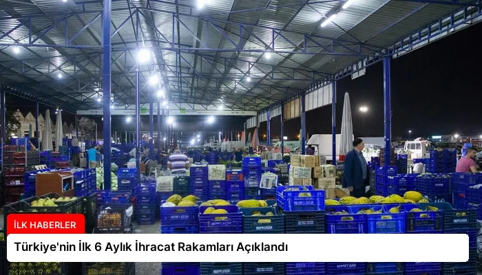 Türkiye’nin İlk 6 Aylık İhracat Rakamları Açıklandı