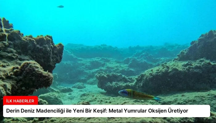 Derin Deniz Madenciliği ile Yeni Bir Keşif: Metal Yumrular Oksijen Üretiyor