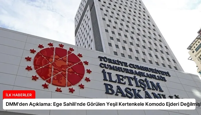 DMM’den Açıklama: Ege Sahili’nde Görülen Yeşil Kertenkele Komodo Ejderi Değilmiş!