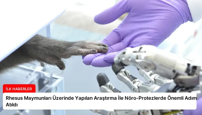 Rhesus Maymunları Üzerinde Yapılan Araştırma İle Nöro-Protezlerde Önemli Adım Atıldı