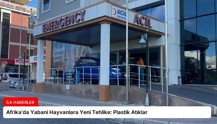 Afrika’da Yabani Hayvanlara Yeni Tehlike: Plastik Atıklar