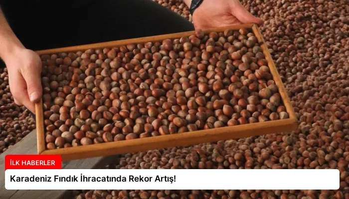 Karadeniz Fındık İhracatında Rekor Artış!