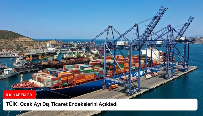 TÜİK, Ocak Ayı Dış Ticaret Endekslerini Açıkladı