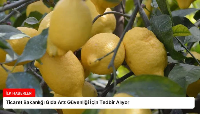 Ticaret Bakanlığı Gıda Arz Güvenliği İçin Tedbir Alıyor