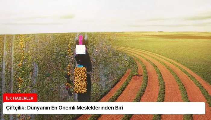 Çiftçilik: Dünyanın En Önemli Mesleklerinden Biri