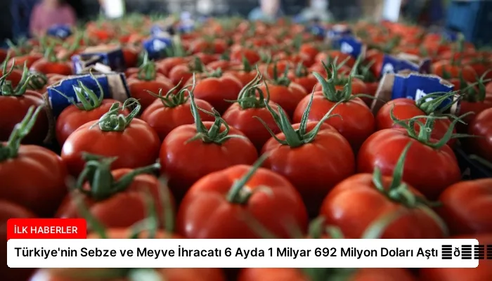 Türkiye’nin Sebze ve Meyve İhracatı 6 Ayda 1 Milyar 692 Milyon Doları Aştı ⏬👇