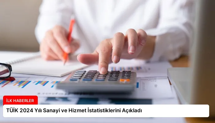 TÜİK 2024 Yılı Sanayi ve Hizmet İstatistiklerini Açıkladı