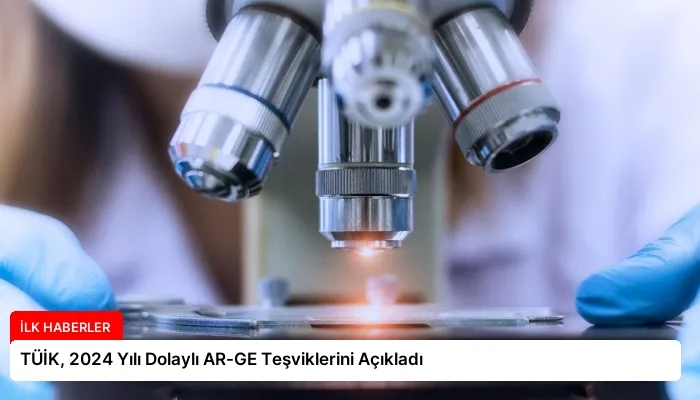TÜİK, 2024 Yılı Dolaylı AR-GE Teşviklerini Açıkladı