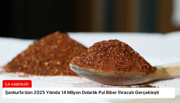 Şanlıurfa’dan 2025 Yılında 14 Milyon Dolarlık Pul Biber İhracatı Gerçekleşti