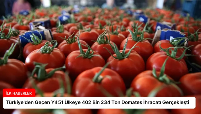 Türkiye’den Geçen Yıl 51 Ülkeye 402 Bin 234 Ton Domates İhracatı Gerçekleşti