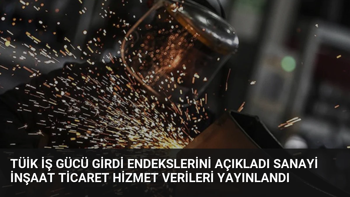 TÜİK İş Gücü Girdi Endekslerini Açıkladı Sanayi İnşaat Ticaret Hizmet Verileri Yayınlandı
