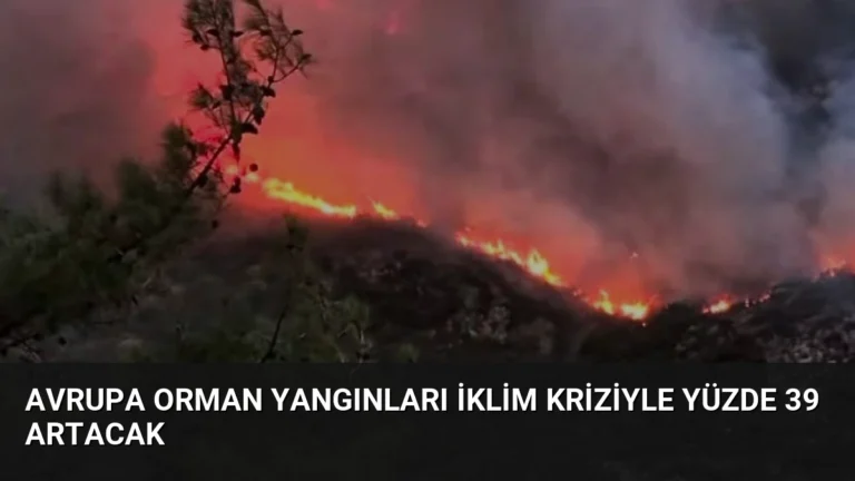 Avrupa orman yangınları iklim kriziyle yüzde 39 artacak