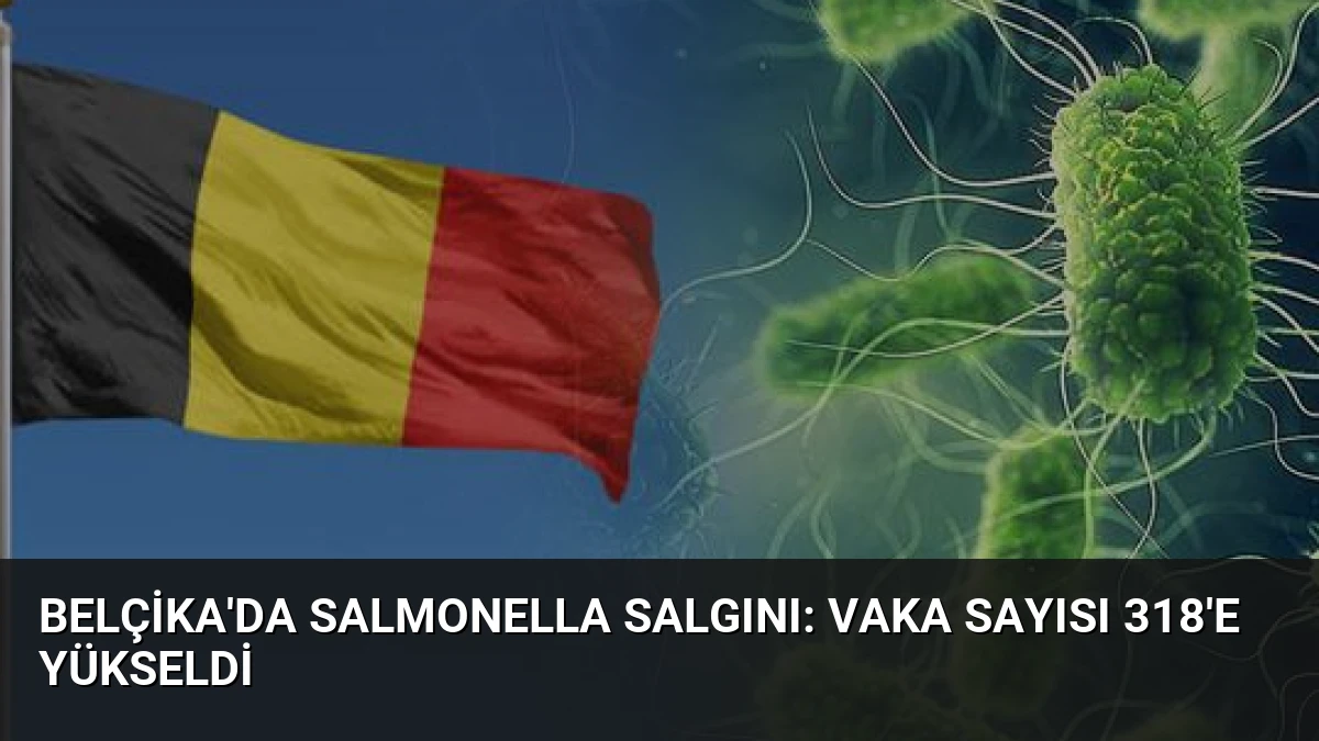 Belçika’da Salmonella Salgını: Vaka Sayısı 318’e Yükseldi
