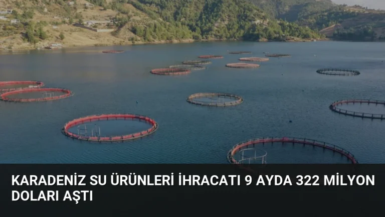 Karadeniz Su Ürünleri İhracatı 9 Ayda 322 Milyon Doları Aştı