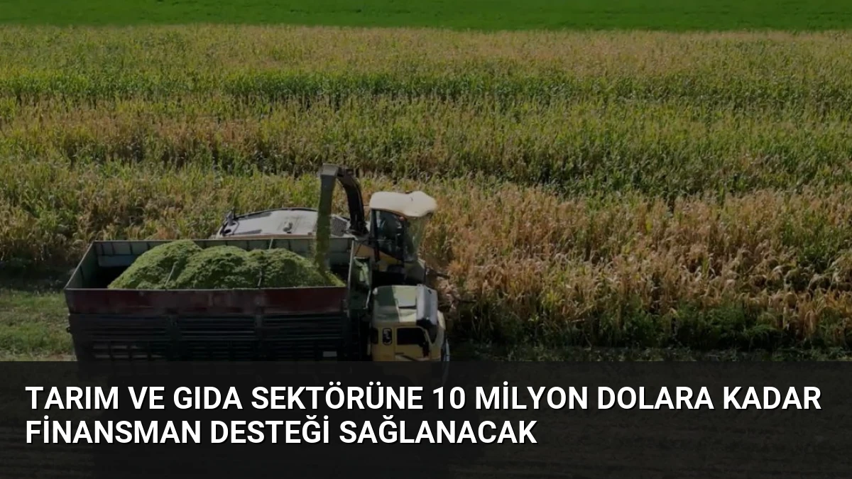 Tarım ve Gıda Sektörüne 10 Milyon Dolara Kadar Finansman Desteği Sağlanacak